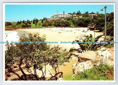 D337643 Südafrika. Südküste. Natal. Uvongo Beach. Protea Farbdrucke