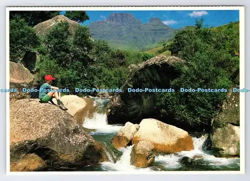 D337646 Südafrika. Natal. Malerische Szene eines Gebirgsbaches mit dem Dra