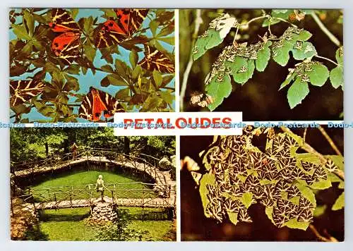 D337658 Petaloudes. Rhodos. Im Tal der Schmetterlinge. Kozas. Multi View