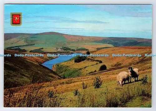 D339644 I.O.M. Sulby Reservoir. Fisa. D. Welldon