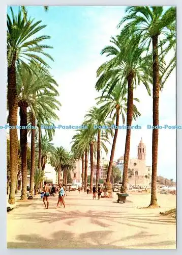 D337671 Sitges. Allee und Kirche. Antonio Rafales