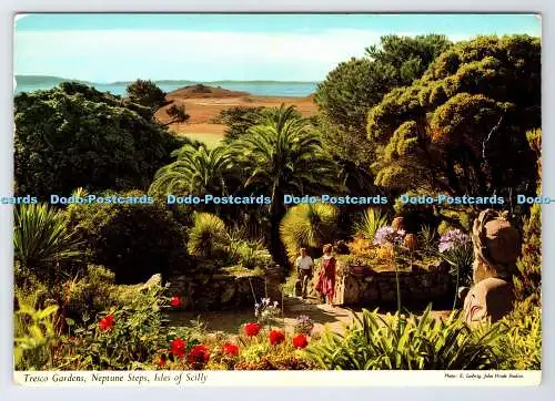 D337703 Scilly-Inseln. Neptun Stufen. Tresco Gardens. John Hinde. J. H. Thomas