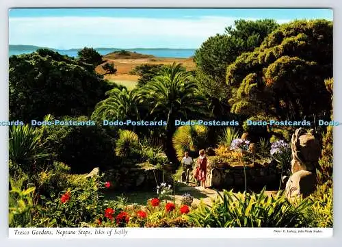 D337704 Scilly-Inseln. Neptun Stufen. Tresco Gardens. John Hinde. J. H. Thomas