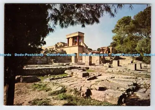 D337741 Knossos. Eingang Nord. E. Tzaferis. Hellas