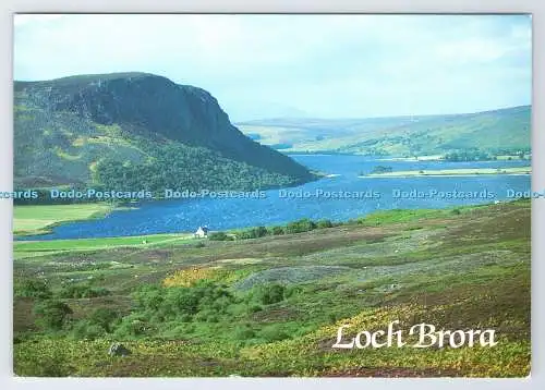 D339740 Loch Brora. Carrol Rock. Anne Baxter. Die schottischen Highlands