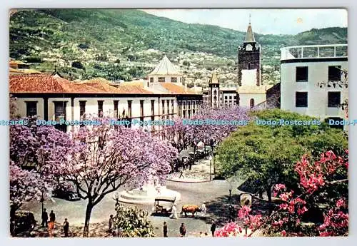 D337781 Madeira. Blühende Jacaranda Tress im Zentrum der Stadt. J. Arthur