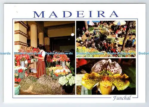 D337786 Madeira. Funchal. auf dem Markt. Fisa. Francisco Ribeiro. Multi View