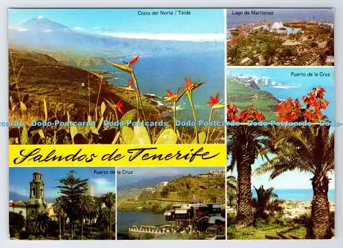 D337817 Teneriffa. Puerto de la Cruz. Juan Alvarez Leon. Multi View