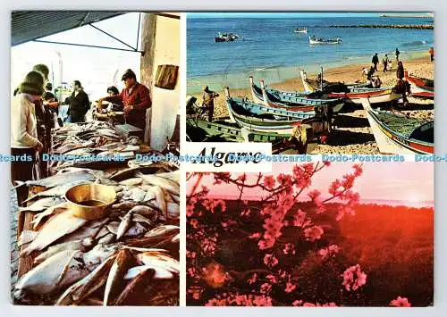 D337819 Algarve. Foto Vista. Multi View