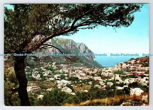 D337827 Capri. Gesamtansicht. Casa del Giornale. Ektachrome