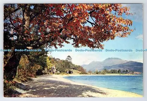 D337883 Schottland. Loch Lomond mit Ben Lomond. Dunbartonshire