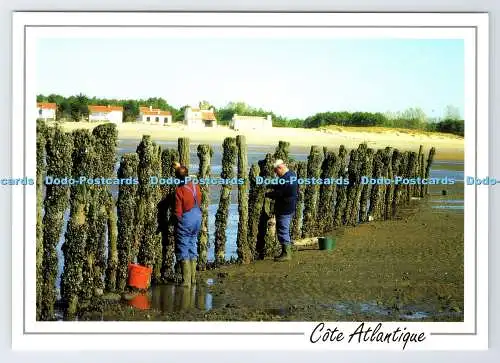 D339857 Cote Atlantique. Les Bouchots. Belles. De Vendee