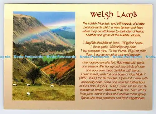 D339865 Welsh Lamb. Richter. C. 25572. Beckenkarte. Janet Baxter