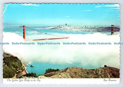 D337982 San Francisco. Die Golden Gate Bridge im Nebel. Smith Neuheit. Dexter