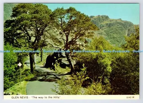 D337991 Glen Nevis. Der Weg in die Berge. Whiteholme. Dundee. A Hail Caledonia P
