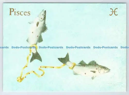 D339993 Fische. Die Fische. Sternzeichen. Rundholzpresse. Timothy Whidbo