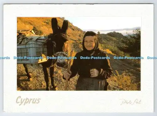 D339999 Zypern. N. G. Triarchos. Galerie