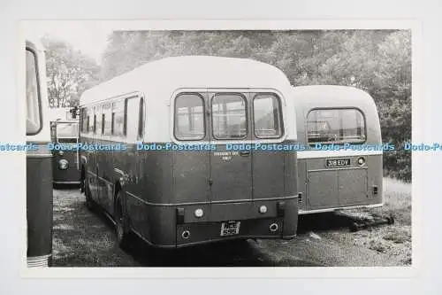 C028152 Bus. NCE595. Bus. 318EDV. Altes Foto