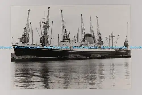 C029274 Schiff Icenic. Harland Wolff. Belfast. Altes Foto