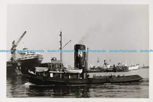 C029278 Schiff Scutolo. 1952. Altes Foto