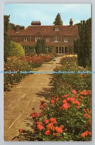 R780549 St. Albans. Die Royal National Rose Society Gardens. Die Prinzessin Mary F