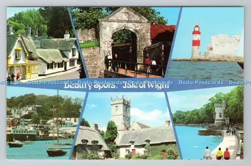 R780556 Isle of Wight. Schönheitsflecken. Kühe. Ryde. Colourmaster Postkarten. Multi