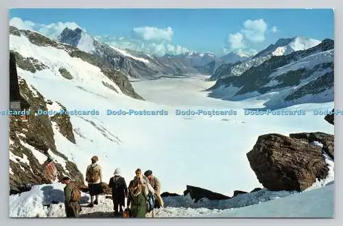 R780670 Jungfraujoch. Aletschgletscher. H. Steinhauer
