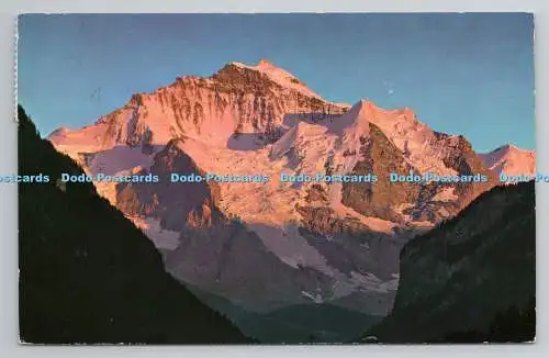 R780671 Jungfrau. Sonnenuntergang. H. Steinhauer. PM. Interlaken. 1965