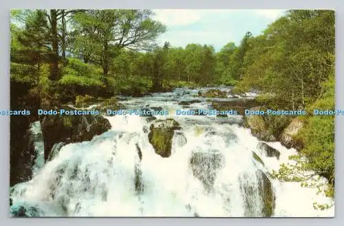 R780766 Bettys y Coed. Die Schwalbe fällt. Fotopräzision. Colourmaster Internat