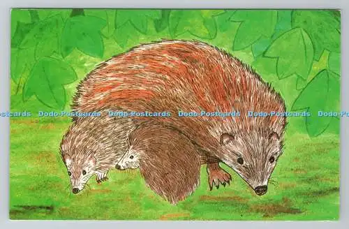 R780777 Igel sind mit braunen Stacheln bedeckt. The National Trust. Dinosaurier.