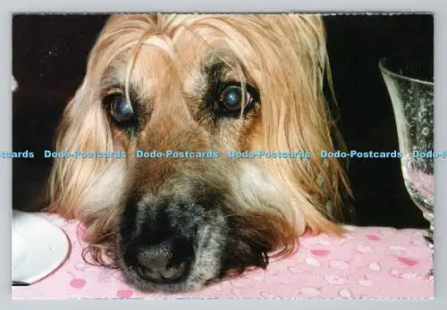 R780831 Hund. Whitechapel Way