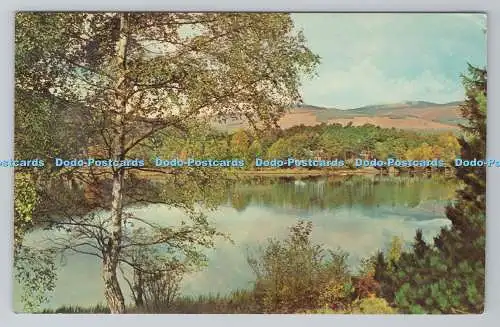 R780917 Schottland. Inverness. Loch Insh. N.P.O. Belfast. Dexter. S. B. Fisher