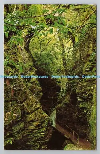 R780933 Lydford Gorge Dartmoor. PM. Chagford. 1973