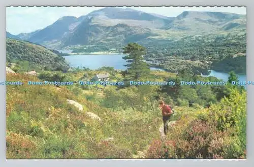 R780989 Snowdon und Llyn Padarn. Eine Dixon Lotus Produktion