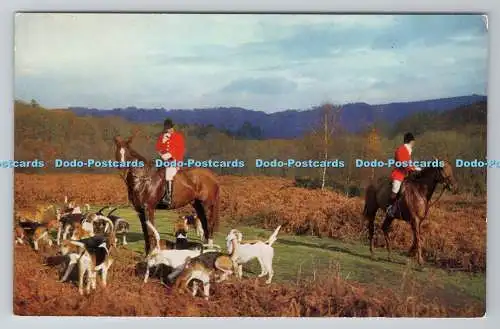 R780999 Männer auf dem Pferd. Hunde. J. Salmon. Sevenoaks. Eng