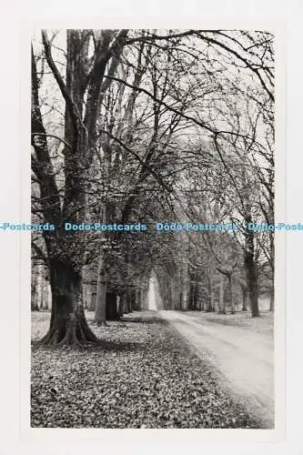 C029017 Straße im Wald. L. T. K. Postkarte