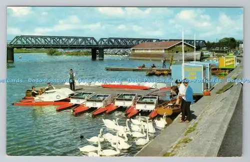R781090 Weymouth. The Swannery