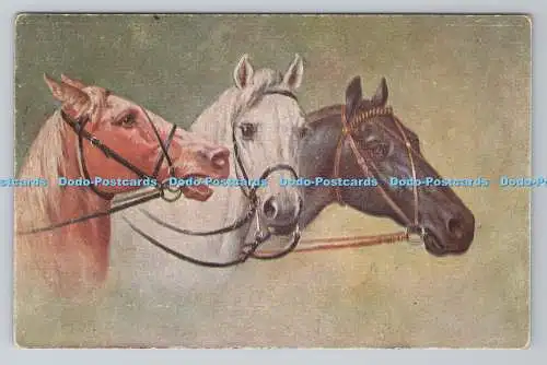 R781237 Drei Pferde. Serie. 204. PM. Smiltene. 1920