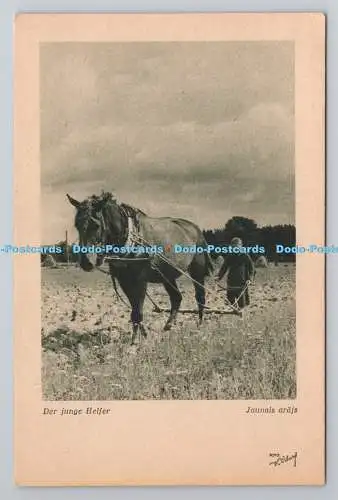 R781238 Der Junge Helfer. Mann mit Pferd. funktionstüchtig. Lettischer Wertpapierdruck H