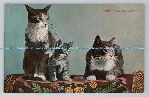R781385 Tabby. Ich und das Baby. Katzen
