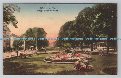 R781477 Bonn a.Rh. Poppelsdorfer Allee. N. Dienst