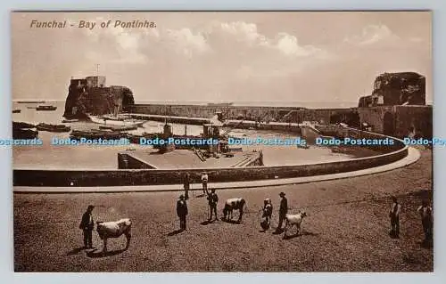 R781487 Funchal. Bucht von Pontinha