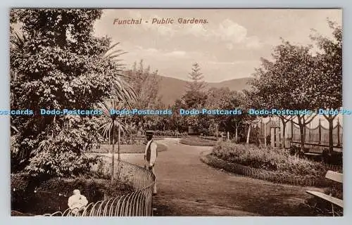 R781488 Funchal. öffentlichen Gärten. Postkarte