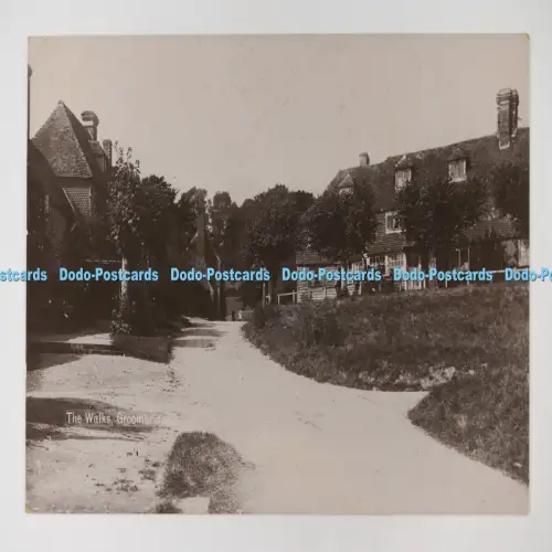 C027172 Groombridge The Walks M Kemp 1910