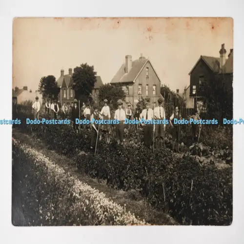 C027195 Kinder arbeiten im Garten