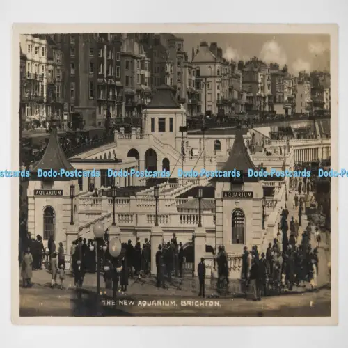 C027237 Brighton The New Aquarium 1929