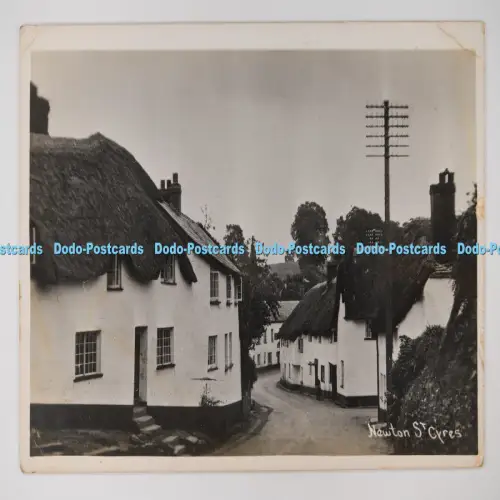 C027290 Newton St Cyres British Made RP