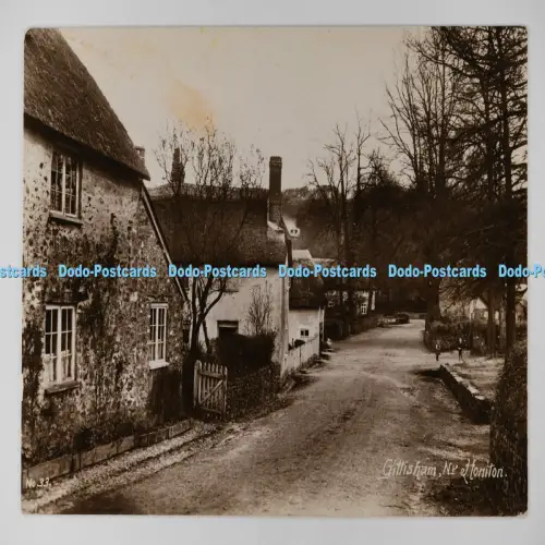 C027294 Gittisham Nr Honiton E Dimond Drucker und Schreibwaren