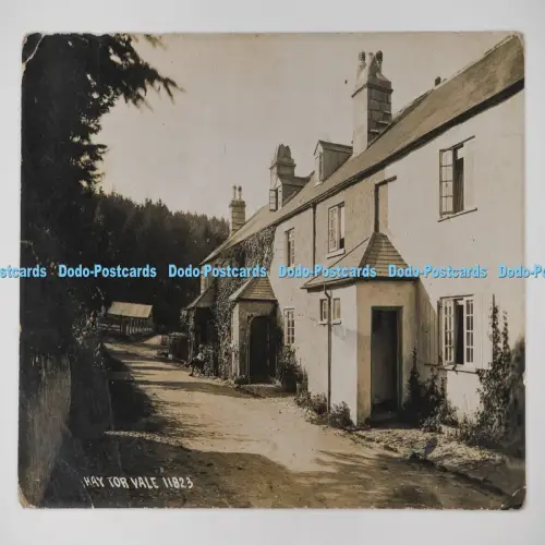 C027304 Hay Tor Vale Chapman Dawlish RP