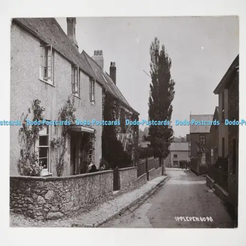 C027306 Ipplepen Devon Chapman Dawlish RP 1913